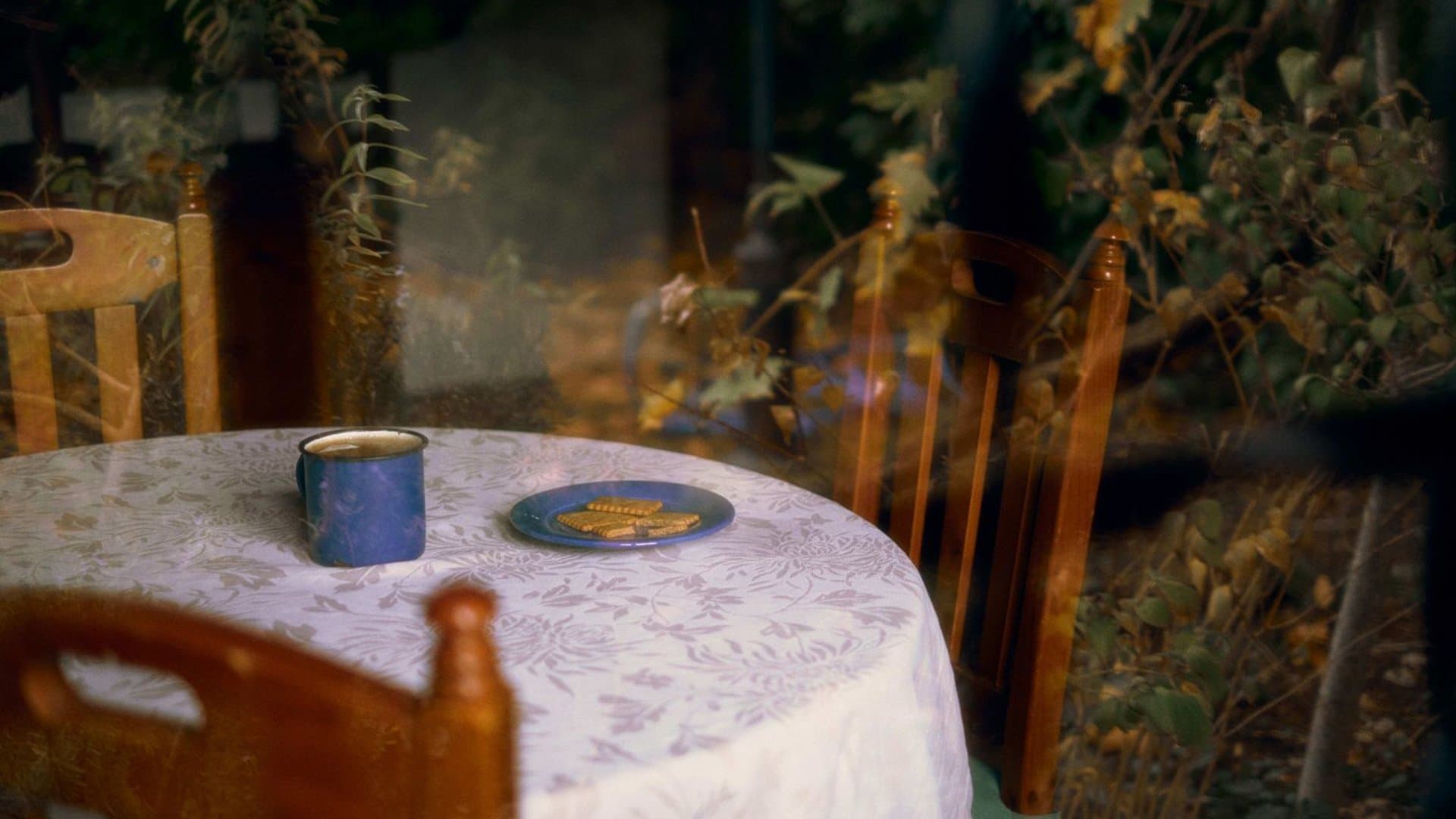 Àpatの背景画像