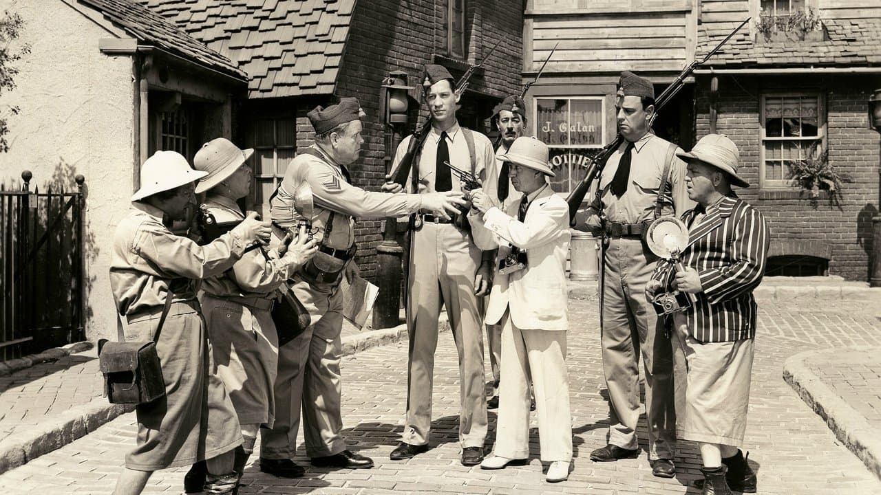 Dutiful But Dumbの背景画像