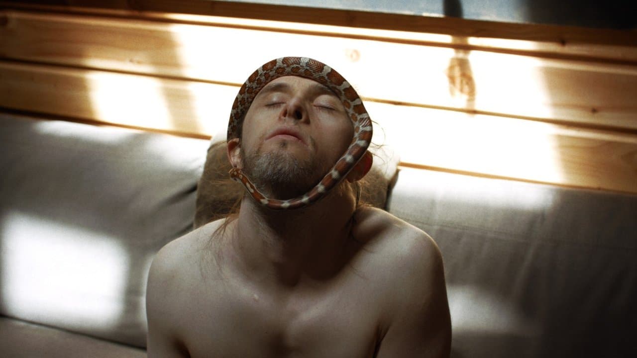 Théo et les métamorphosesの背景画像