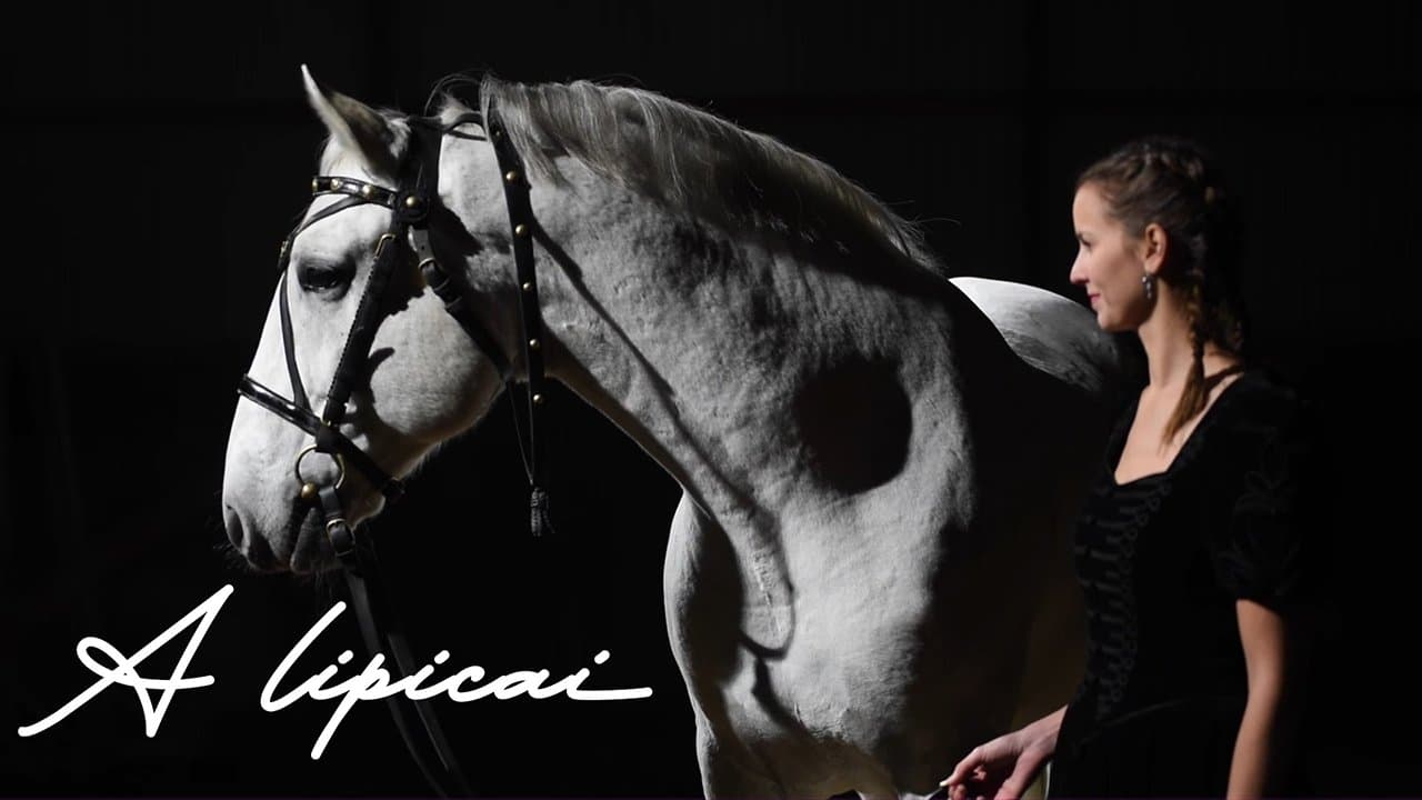 A lipicaiの背景画像