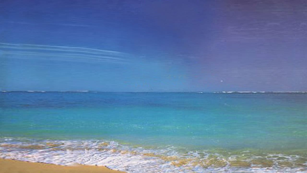 WWE Royal Rumble 1995の背景画像