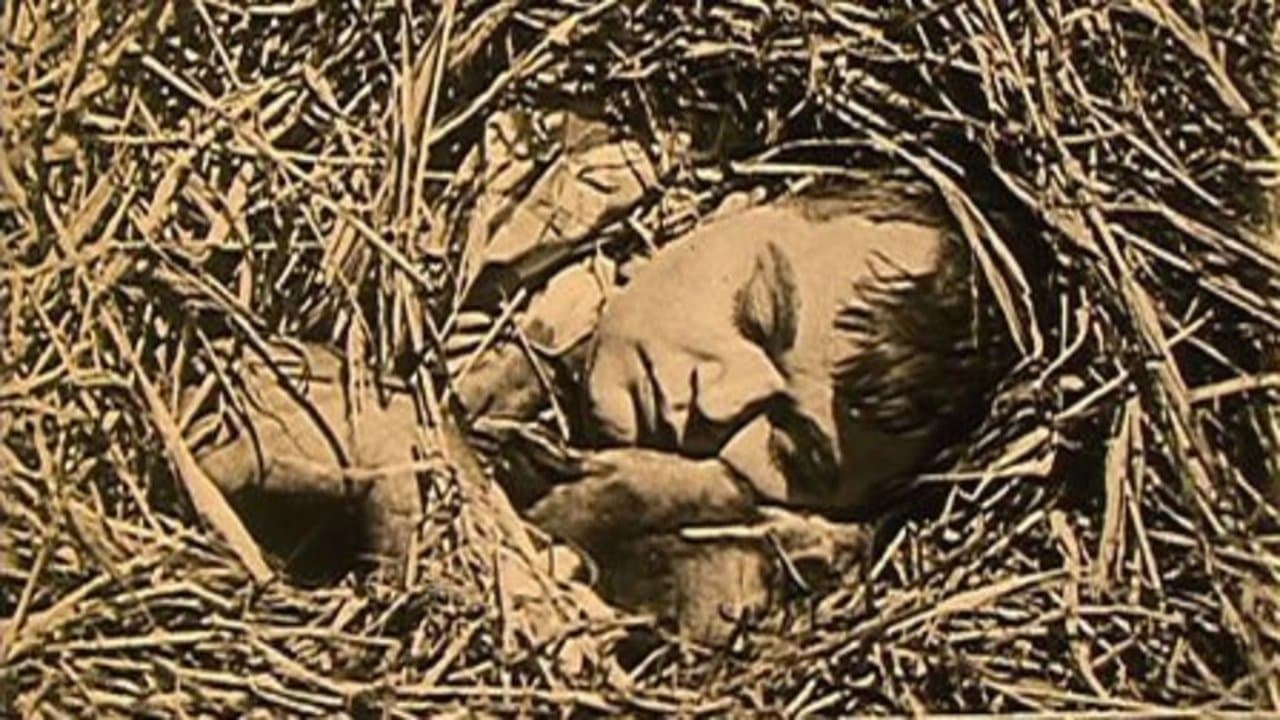 The Hayseedの背景画像