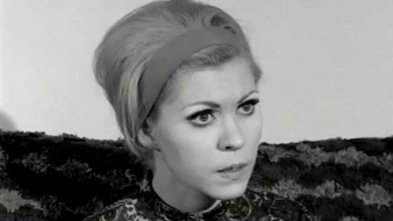 The Alley Trampの背景画像