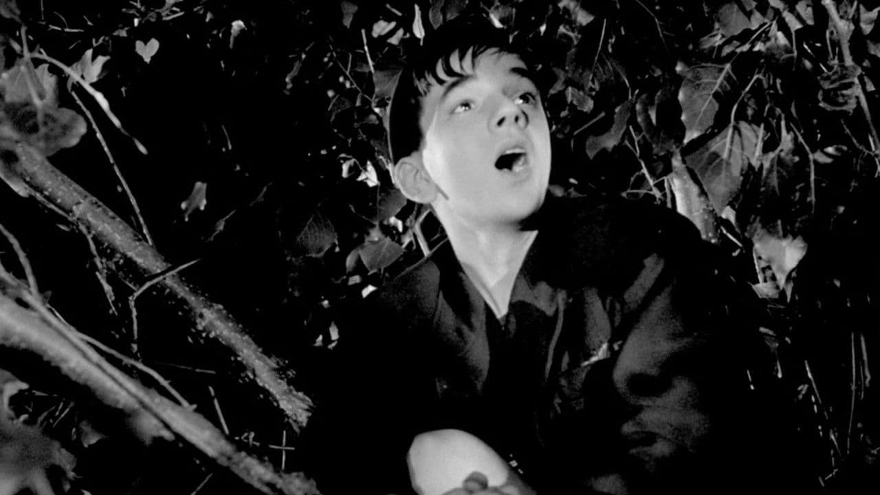 Le Rossignol et les clochesの背景画像