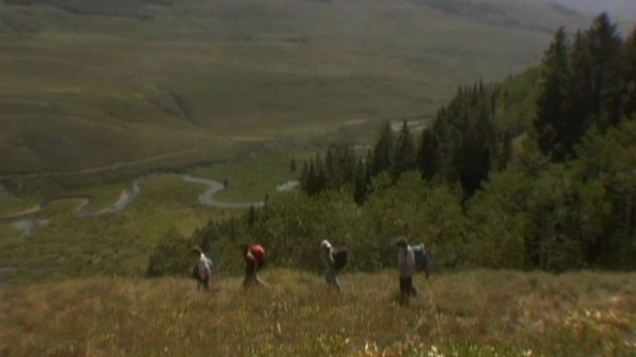 Fern Hillの背景画像