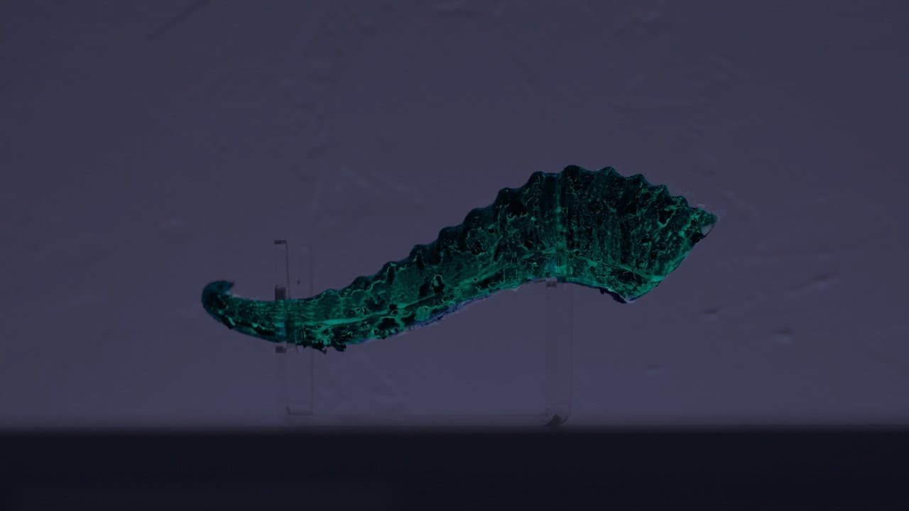 Whispersの背景画像