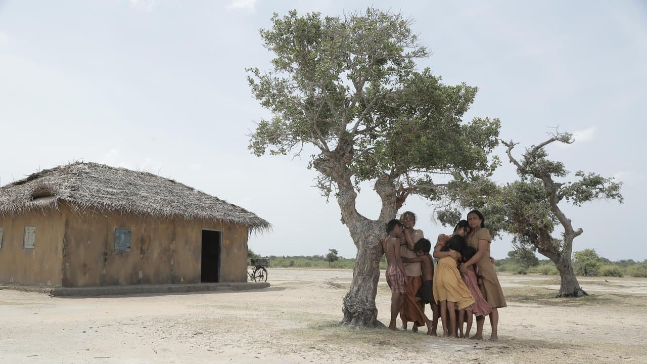 දැවෙන විහඟුන්の背景画像