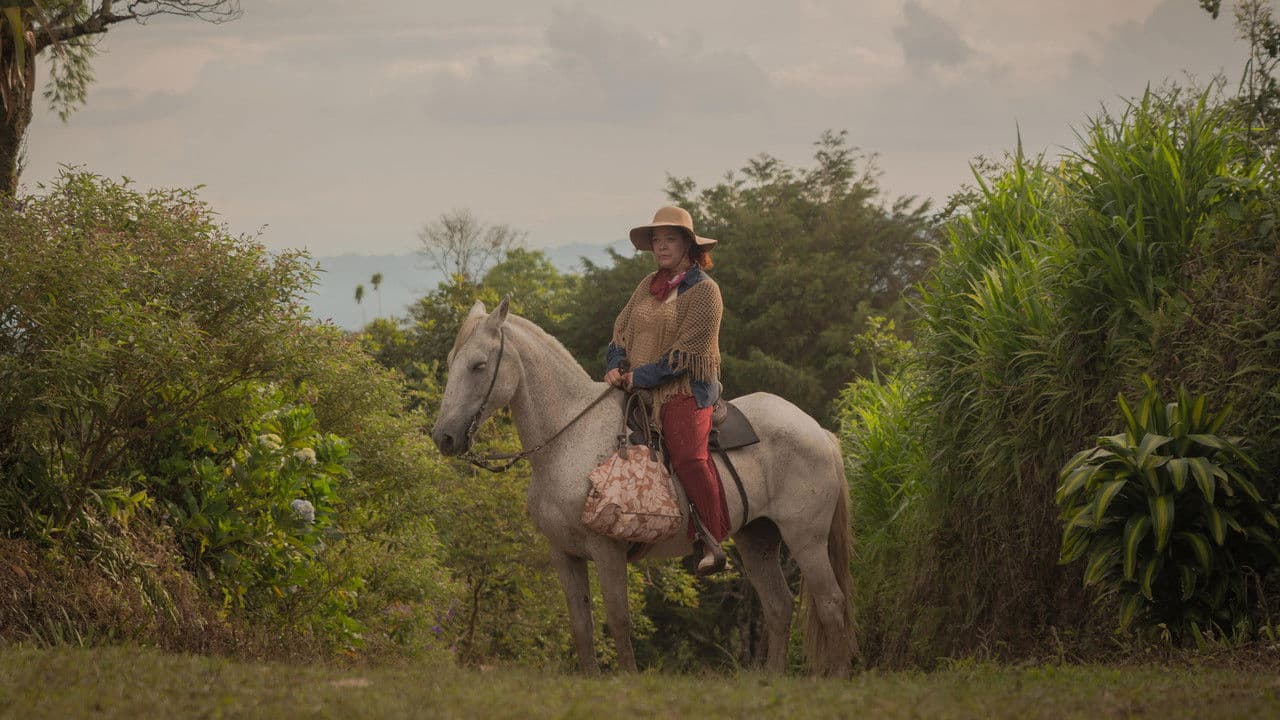 Pitonisaの背景画像