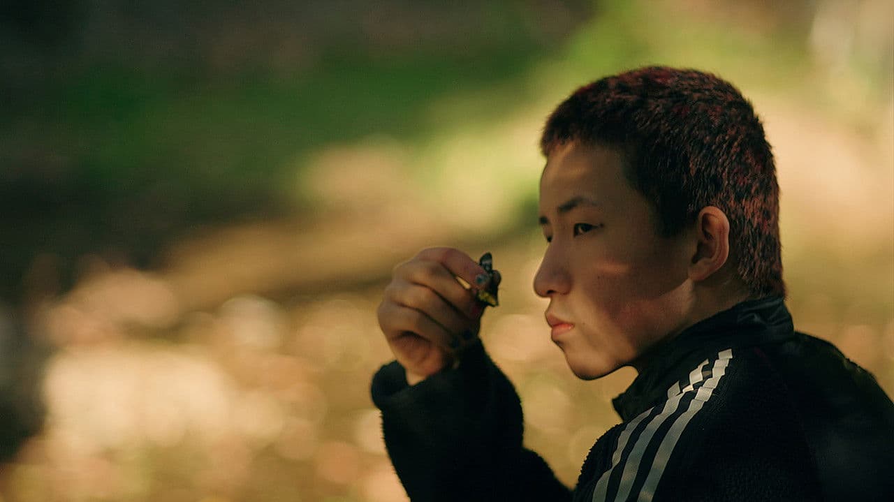 我是貓の背景画像