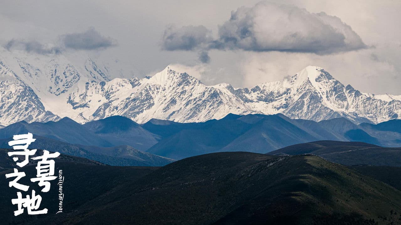 寻真之地の背景画像