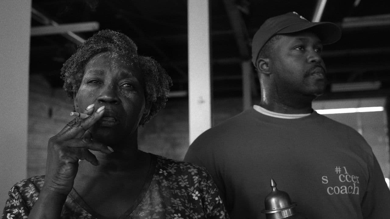 Dice 'n Stealの背景画像