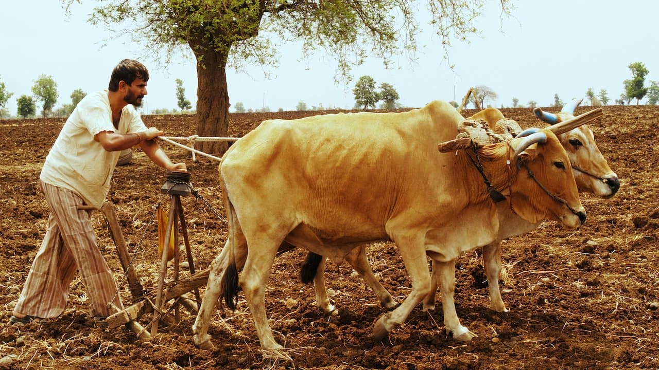 गाभ्रीचा पाऊसの背景画像