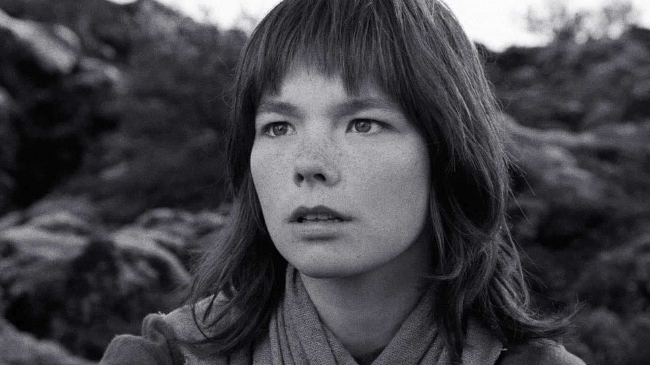 The Juniper Treeの背景画像