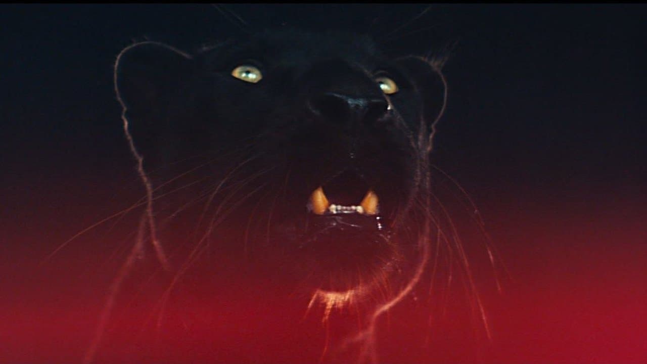 MANIAの背景画像