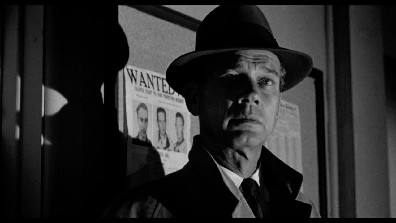 The Killer Is Looseの背景画像