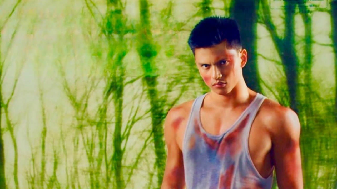 Bandidoの背景画像