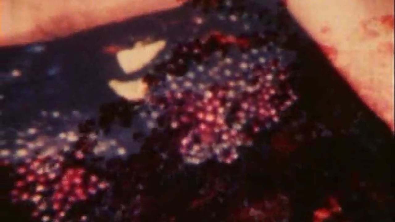 Garden of Luxorの背景画像