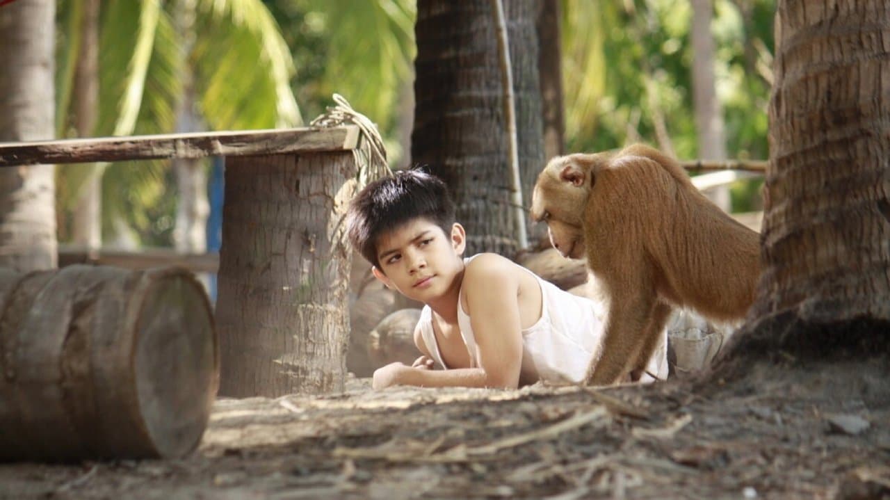 กะปิ ลิงจ๋อไม่หลอกจ้าวの背景画像