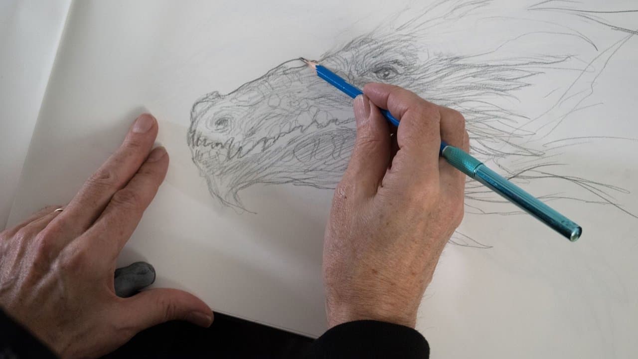 Dragonsの背景画像