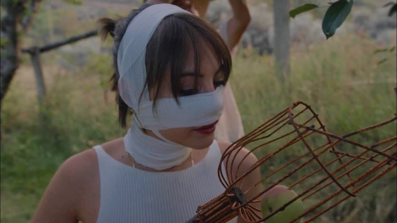 Pure Immersionの背景画像