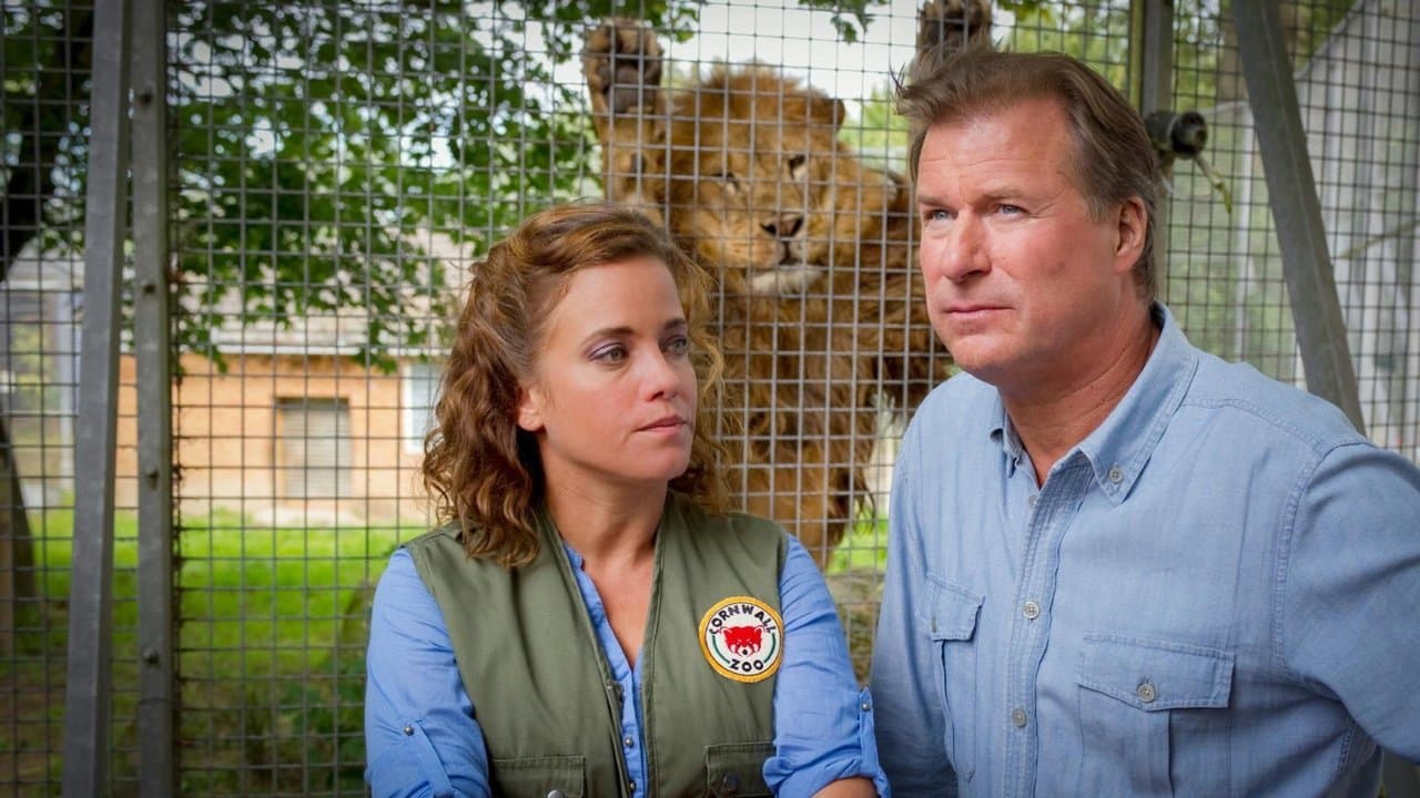 Rosamunde Pilcher: Schlangen im Paradiesの背景画像