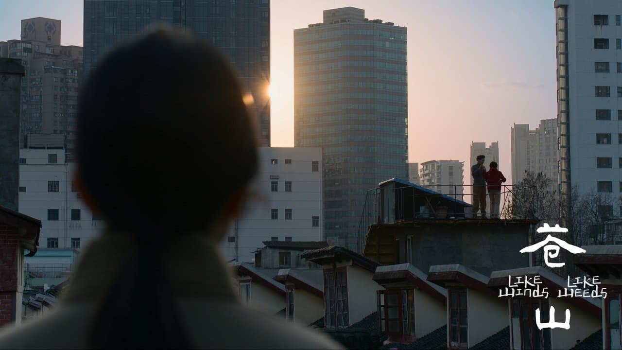 苍山の背景画像