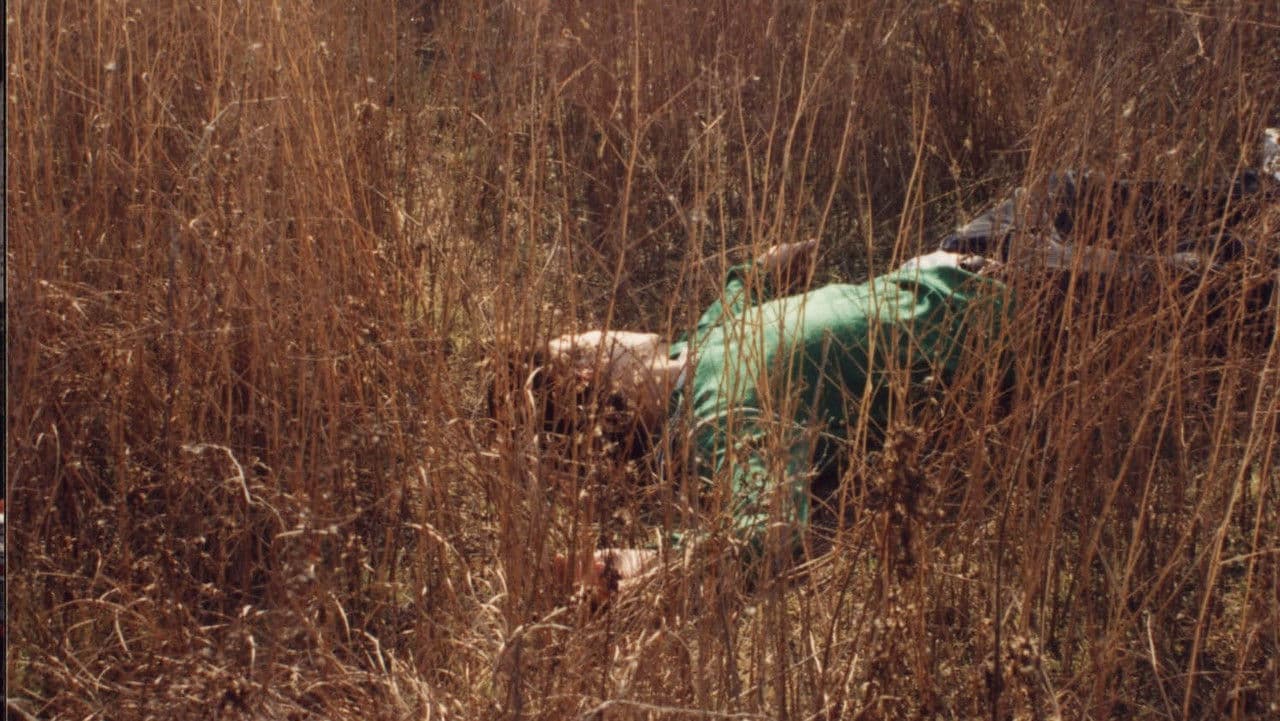 Rest in the Lightの背景画像