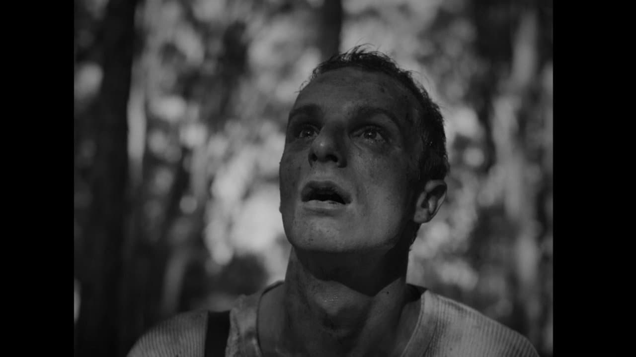 Before We Sleepの背景画像