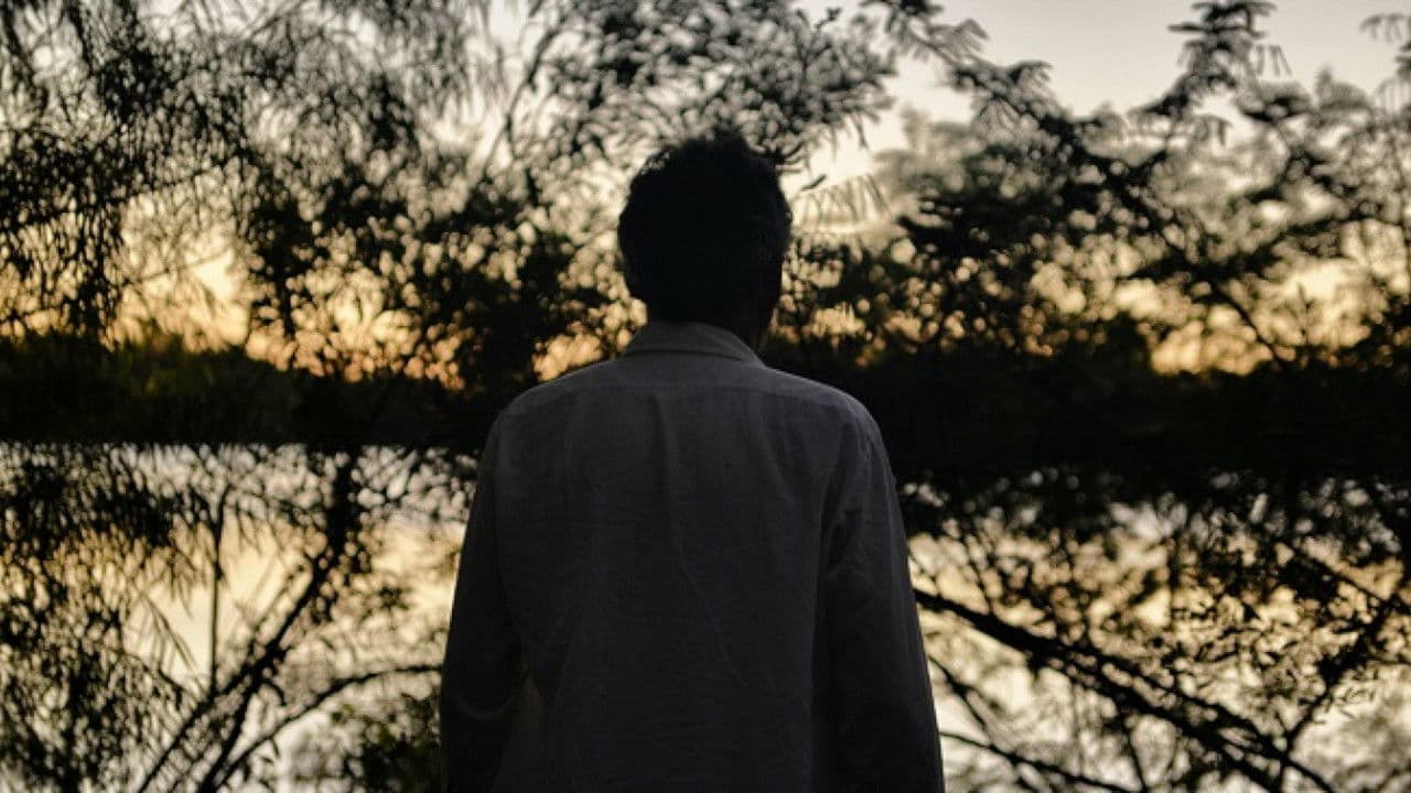 El Limonero Realの背景画像