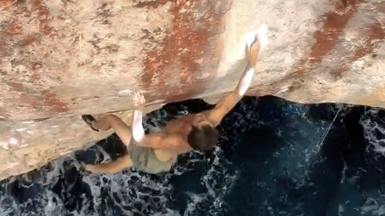 The Fanatic Searchの背景画像