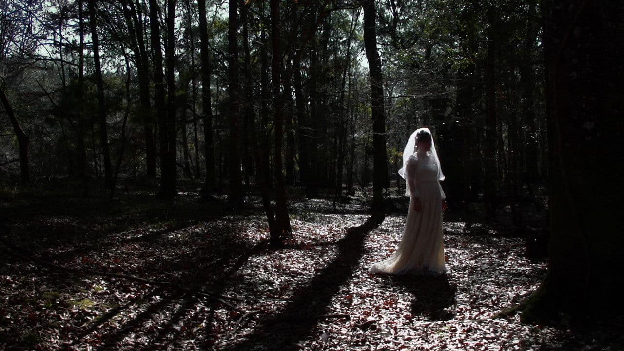 Spirits in the Stormの背景画像