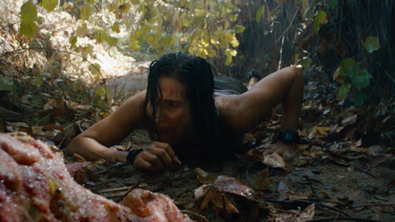 Shallow Waterの背景画像