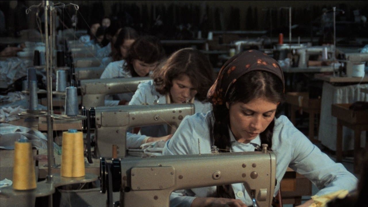 Kara Kafaの背景画像