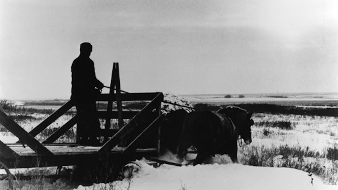 Northern Lightsの背景画像