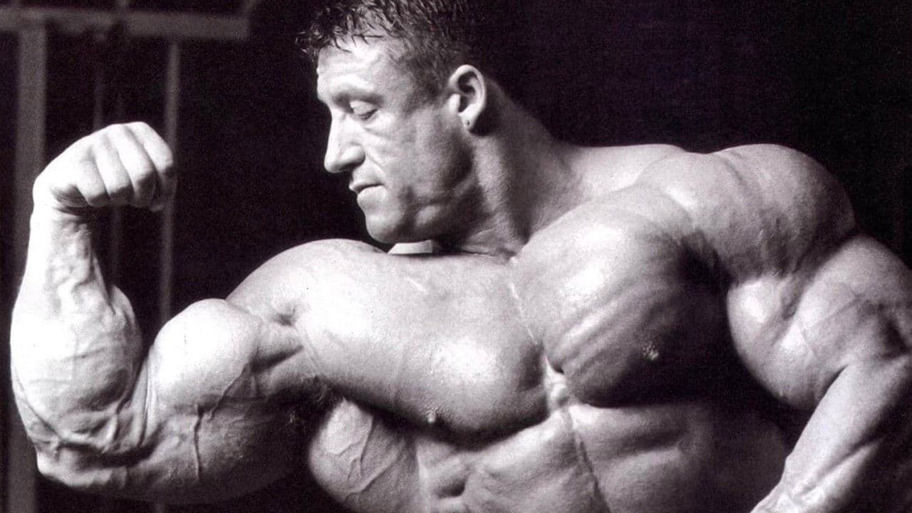 Blood & Gutsの背景画像