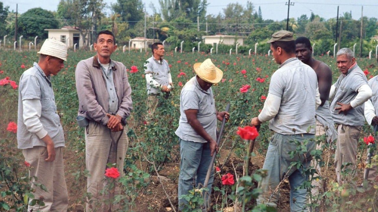 Waiting for Fidelの背景画像