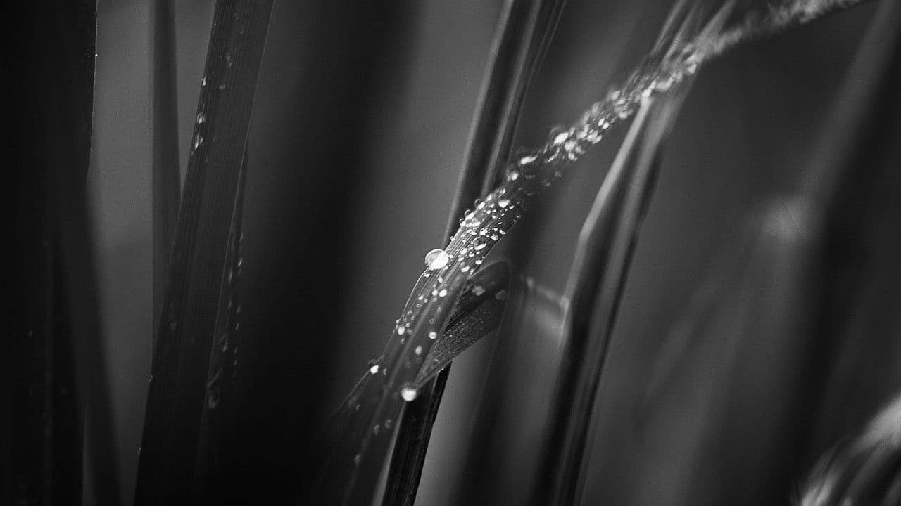 Asedio en la Montañaの背景画像