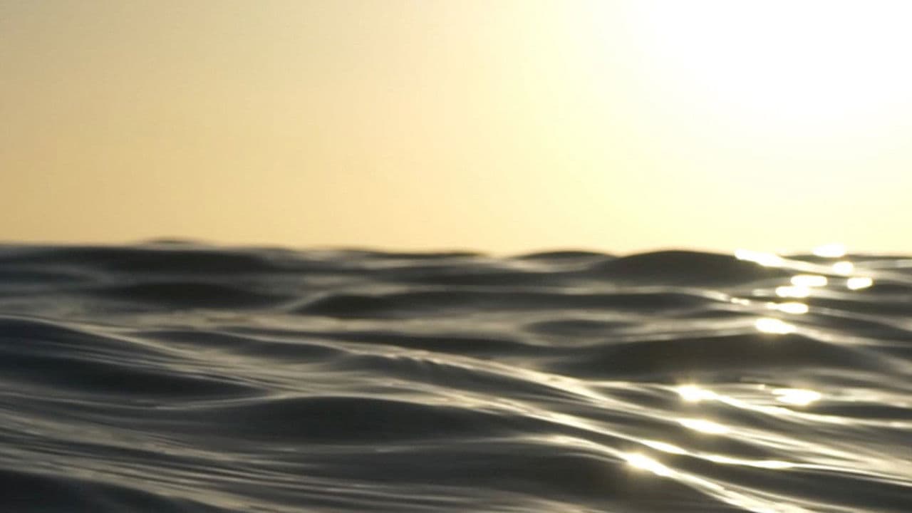 Zone Frequencyの背景画像