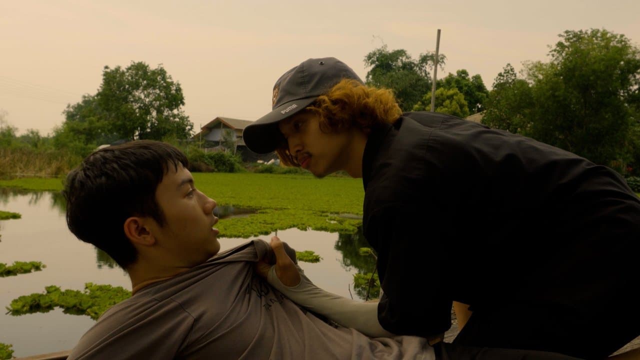 REELsの背景画像