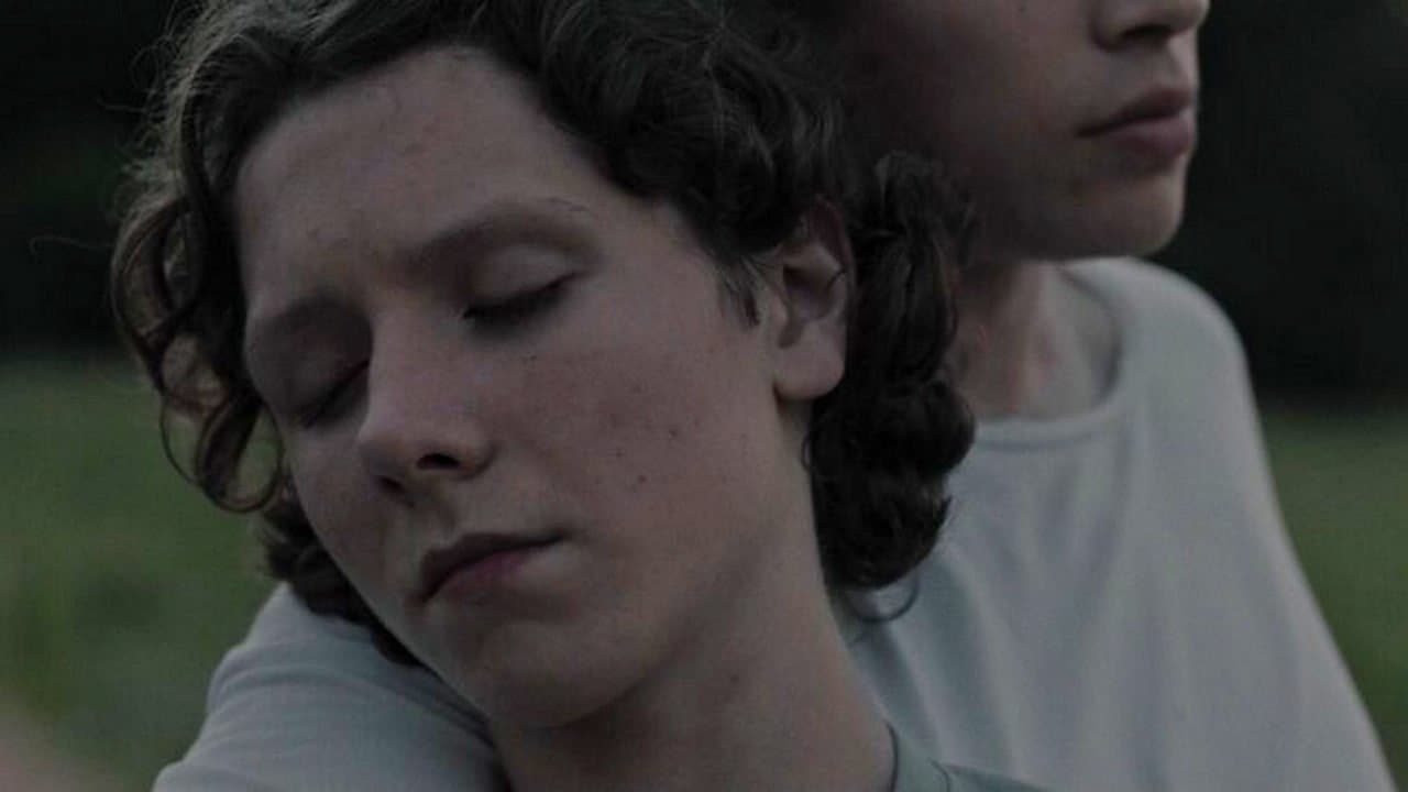 Tam, gdzie płaczą ptakiの背景画像