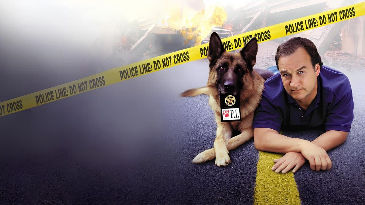 K-9: P.I.の背景画像