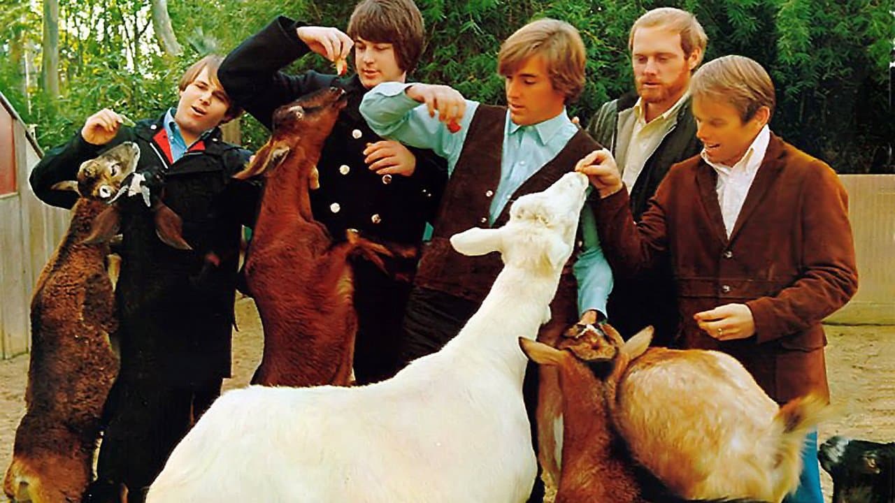 The Beach Boys: Endless Harmonyの背景画像