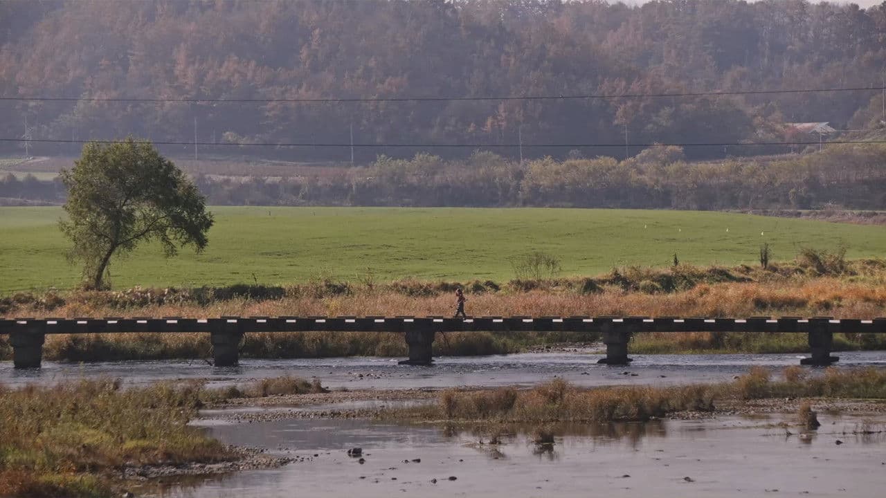 물비늘の背景画像