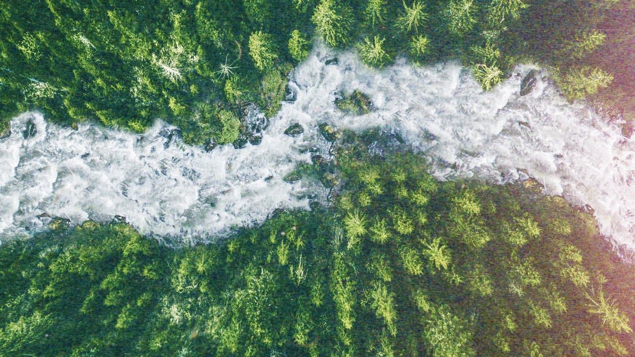 River of No Returnの背景画像