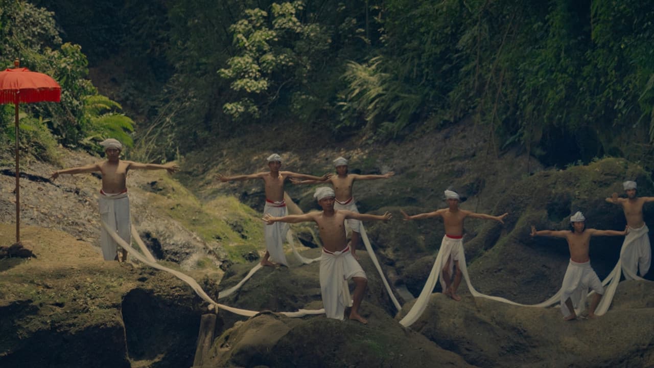 Where the Wild Frangipanis Growの背景画像