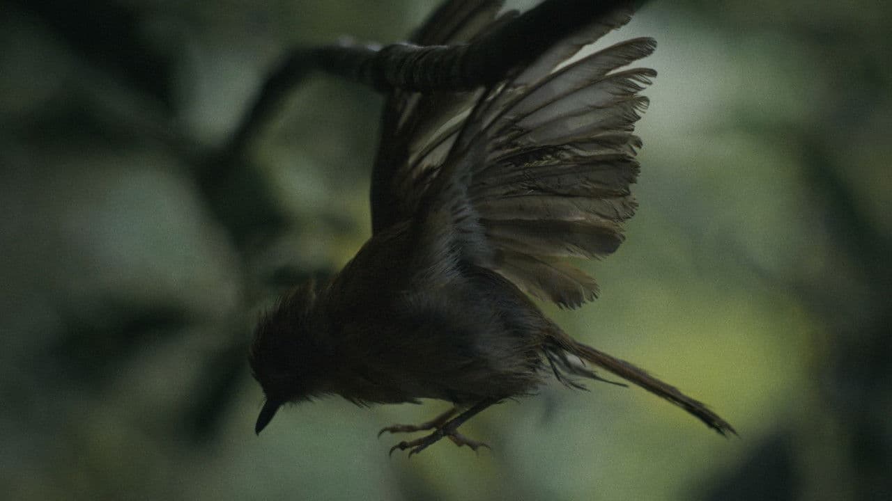 Broken Wingsの背景画像