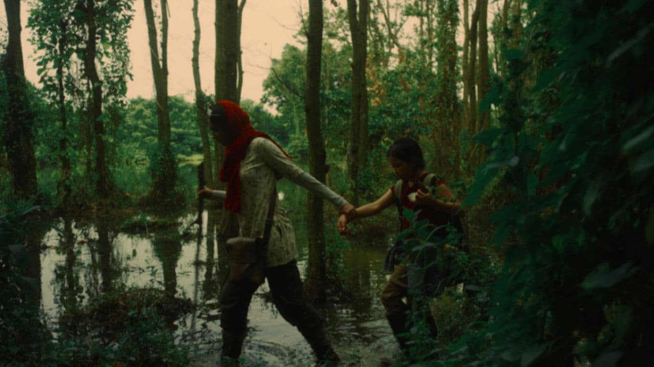 মশারীの背景画像