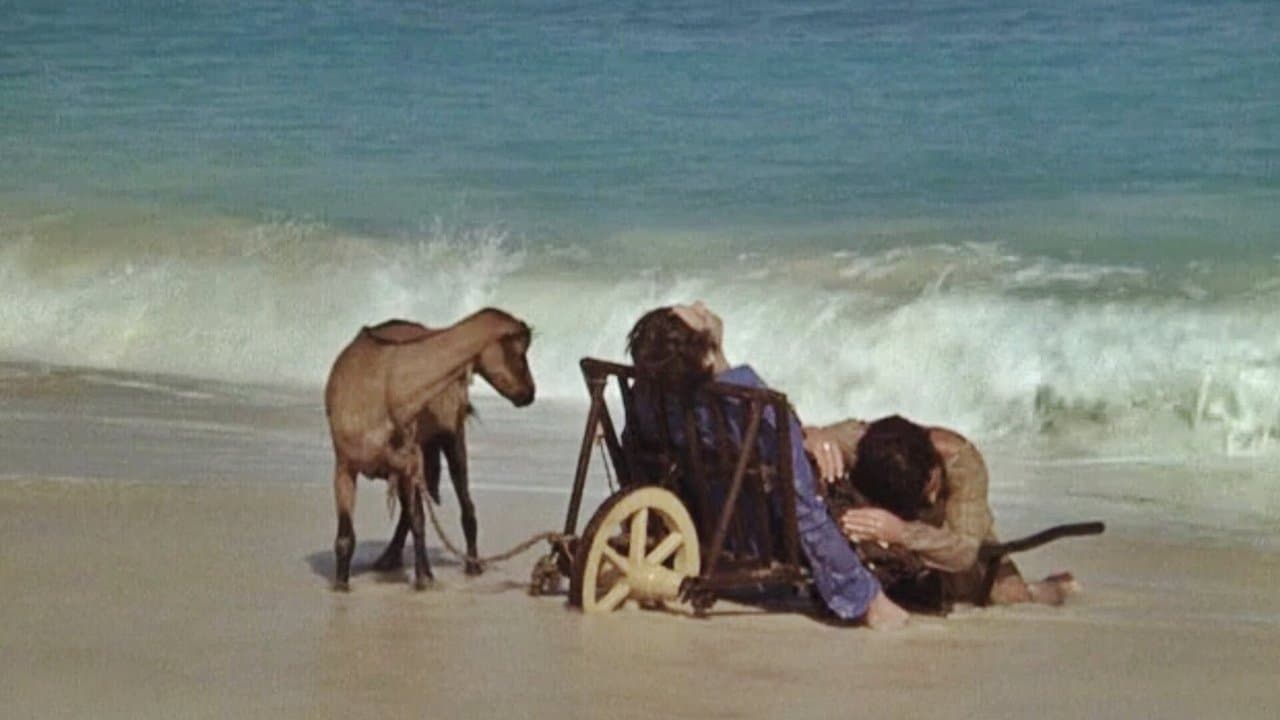 J'irai comme un cheval fouの背景画像