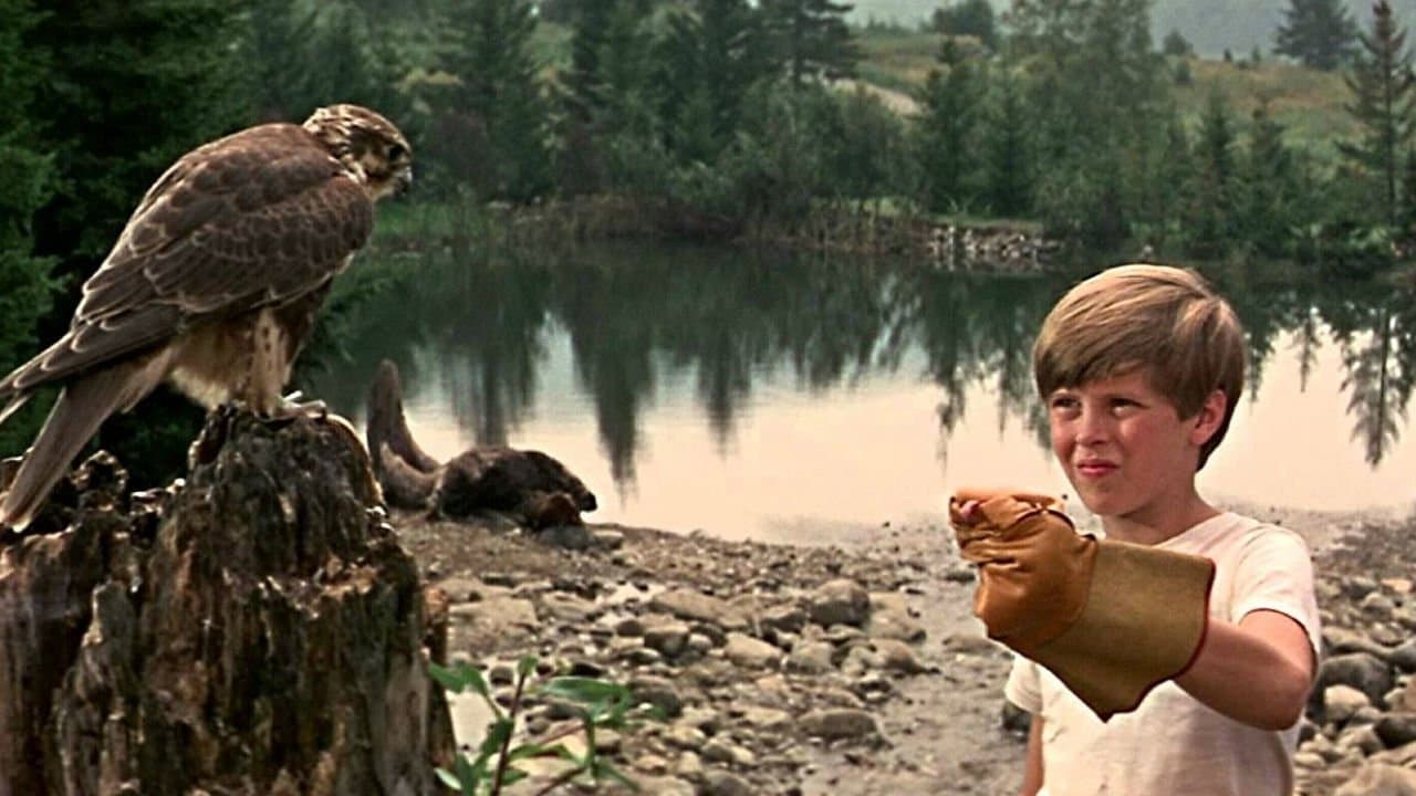 My Side of the Mountainの背景画像