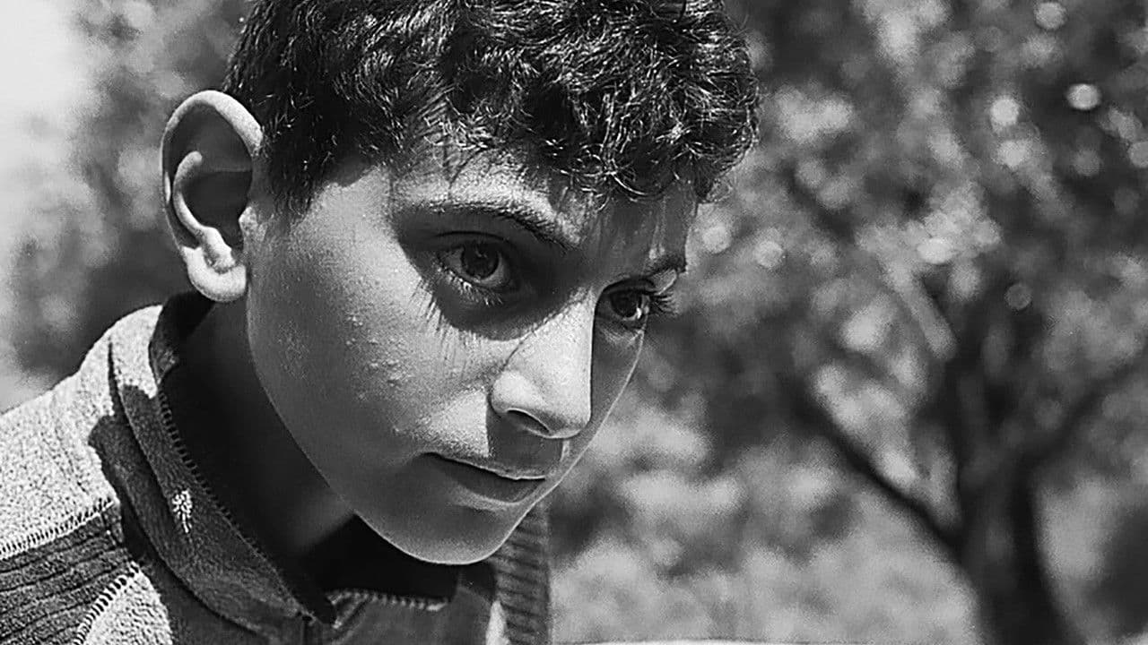 Todos vós sodes capitánsの背景画像